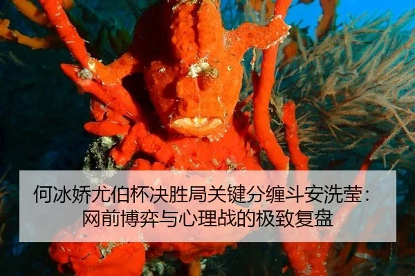 何冰娇尤伯杯决胜局关键分缠斗安洗莹：网前博弈与心理战的极致复盘