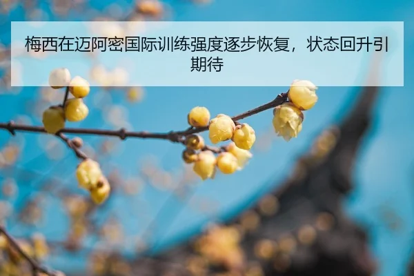 mei-xi-zai-mai-a-mi-guo-ji-xun-lian-qiang-du-zhu-bu-hui-fu-zhuang-tai-hui-sheng-yin-qi-dai-2-133.jpg