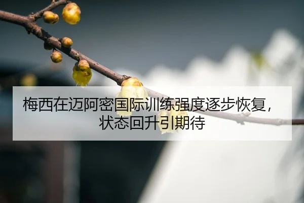 mei-xi-zai-mai-a-mi-guo-ji-xun-lian-qiang-du-zhu-bu-hui-fu-zhuang-tai-hui-sheng-yin-qi-dai-3-987.jpg