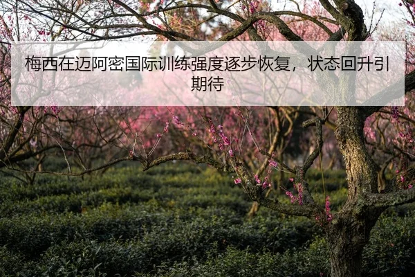 梅西在迈阿密国际训练强度逐步恢复，状态回升引期待